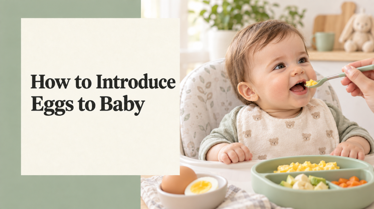 how to introduce eggs to baby