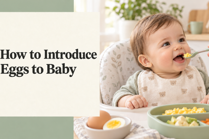 How to Introduce Eggs to Baby: A Complete Guide for Parents
