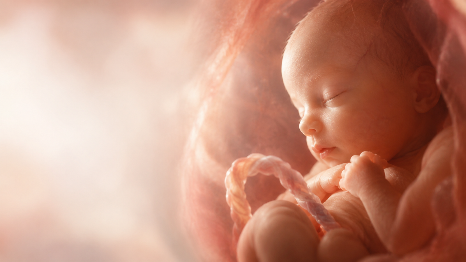 Do Babies Open Their Eyes in the Womb