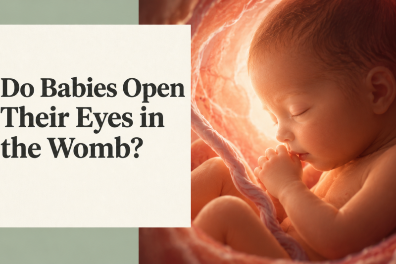 Do Babies Open Their Eyes in the Womb?