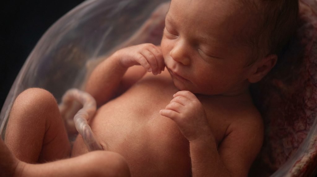 Before Birth: How Breathing Develops in the Womb