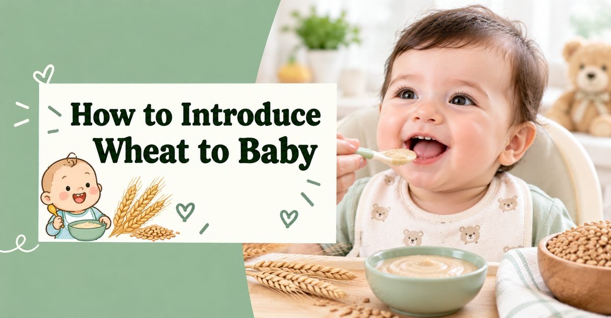 How to Introduce Wheat to Baby